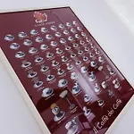 Piazza Giotti 8 公寓式酒店